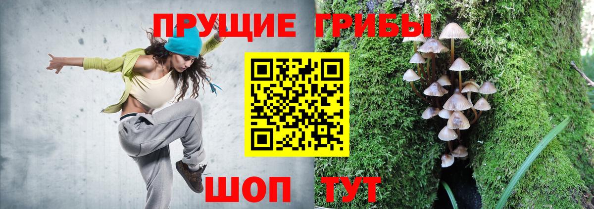 Зеленокумск  Псилоцибиновые грибы Psilocybine cubensis  Вход с VPN 